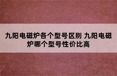 九阳电磁炉各个型号区别 九阳电磁炉哪个型号性价比高